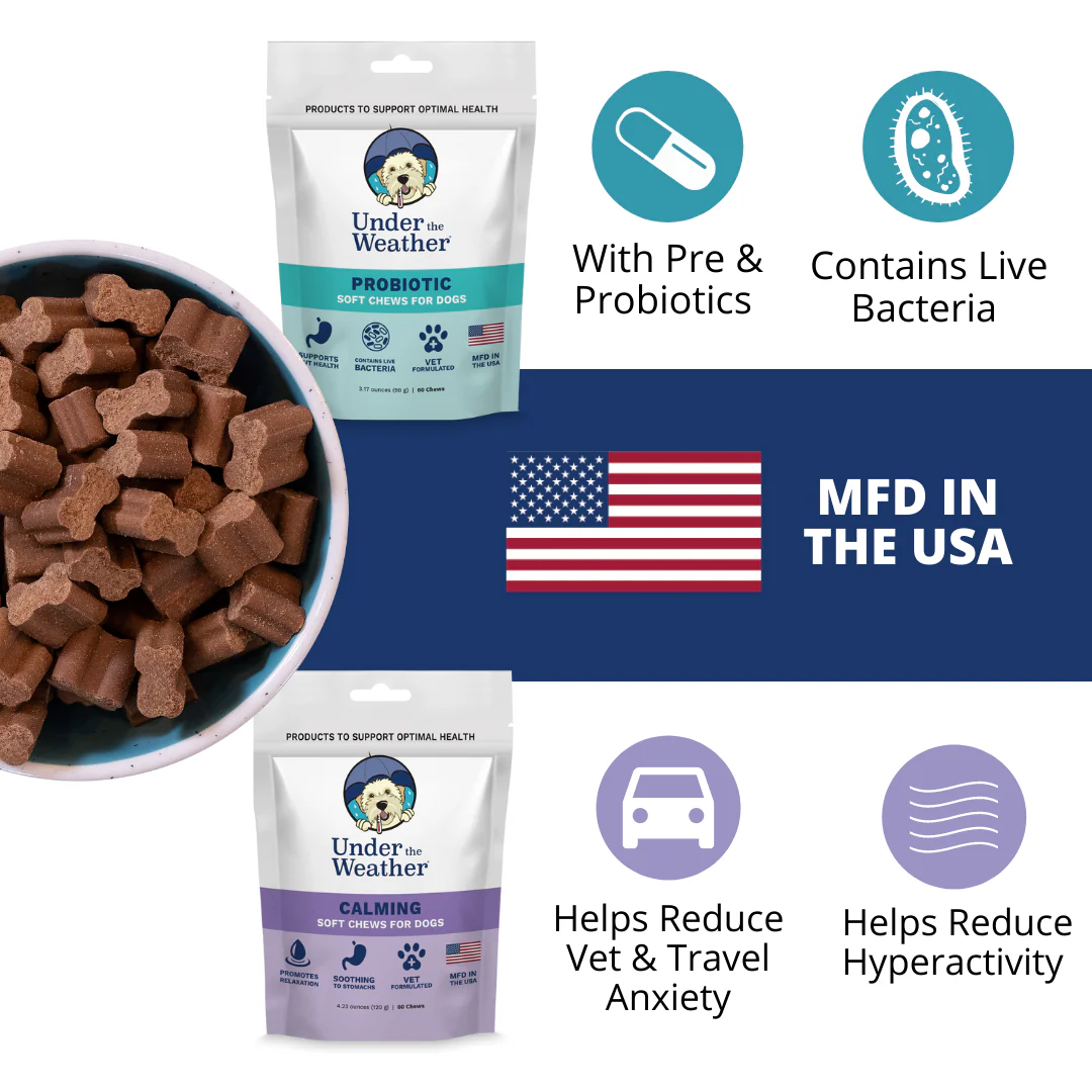 Puppy Starter Kit Bundle - Image 5