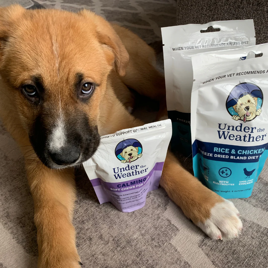 Puppy Starter Kit Bundle - Image 6