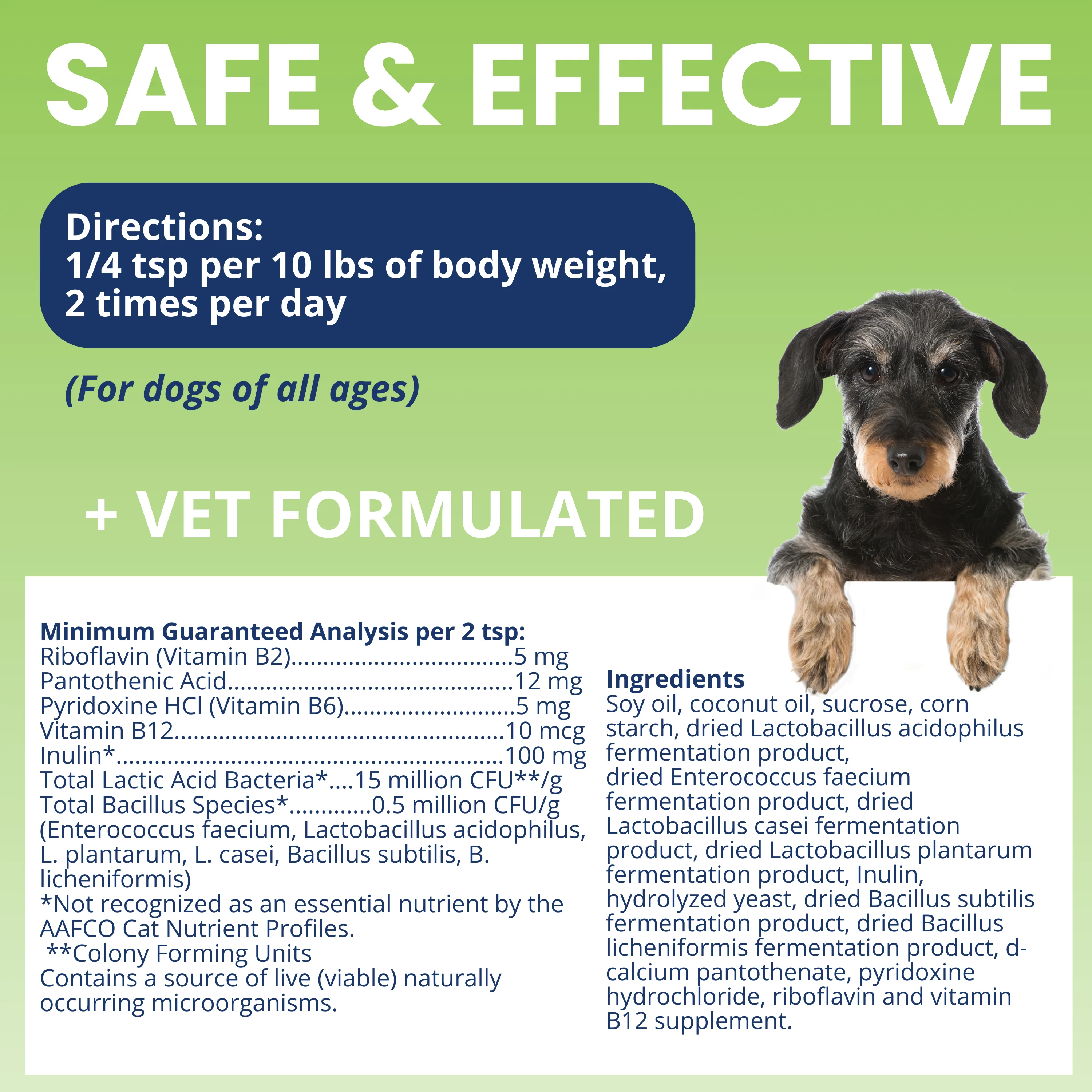 Ready Balance Probiotic Squeezable Gel For Dogs - Image 5