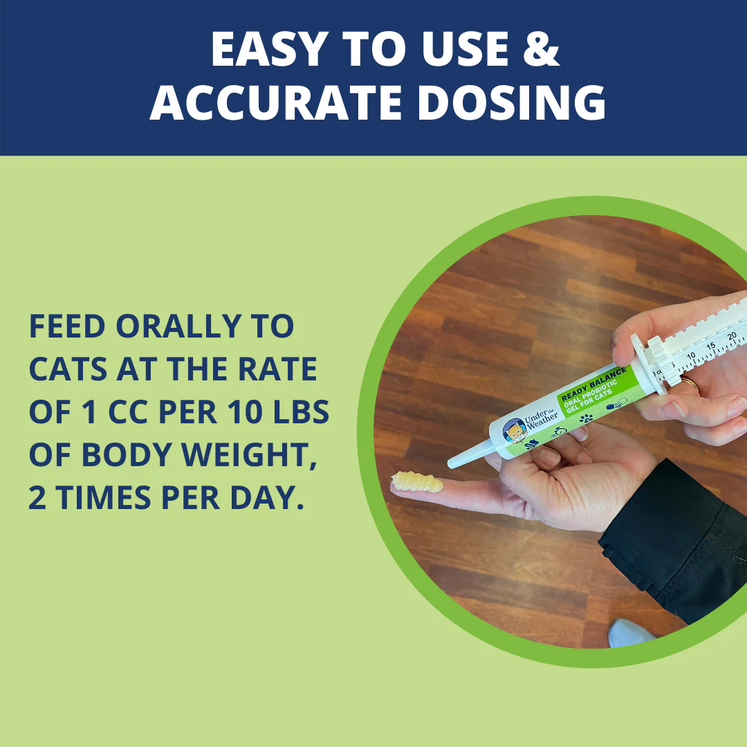 Ready Balance Probiotic Supplement For Cats - Image 4