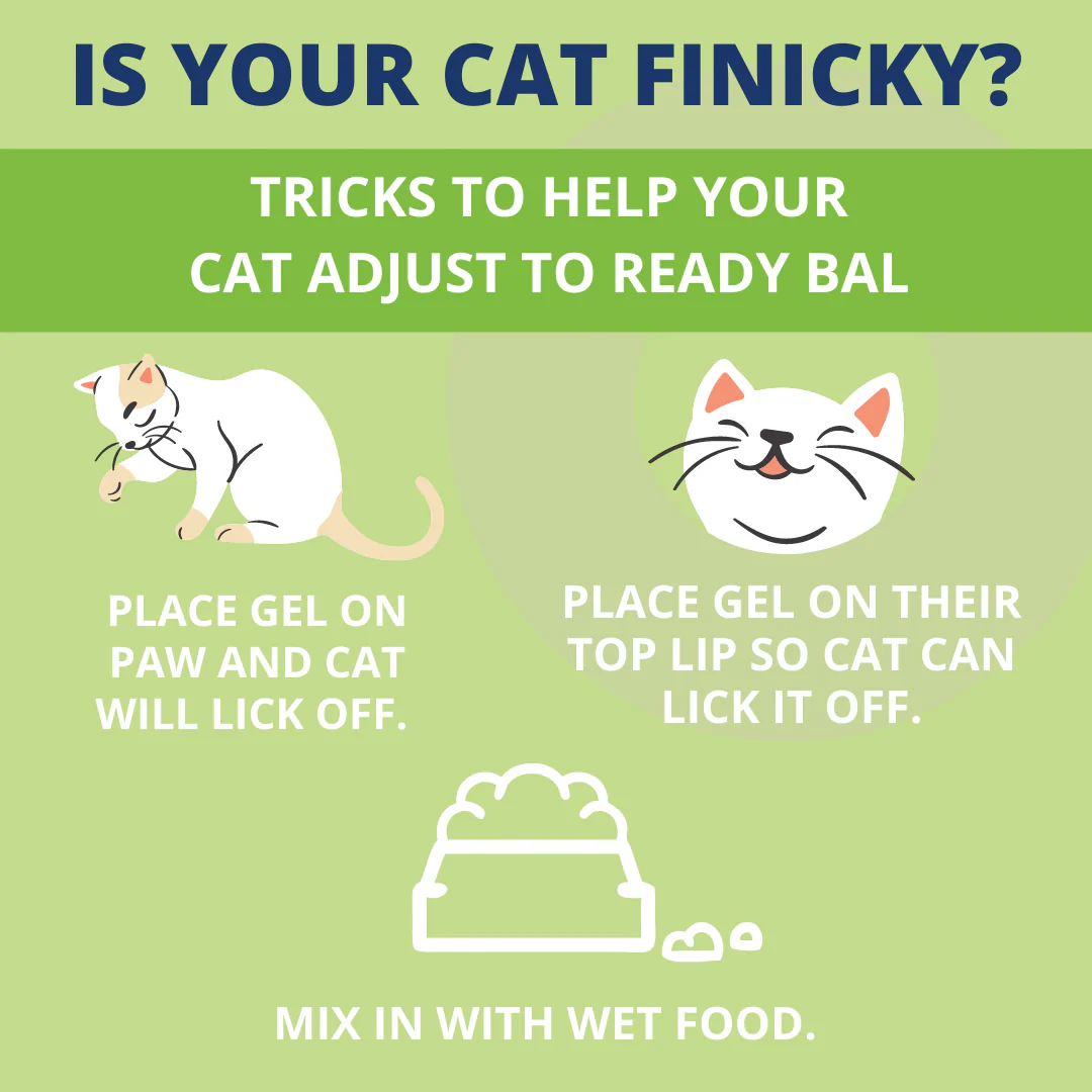 Ready Balance Probiotic Supplement For Cats - Image 5