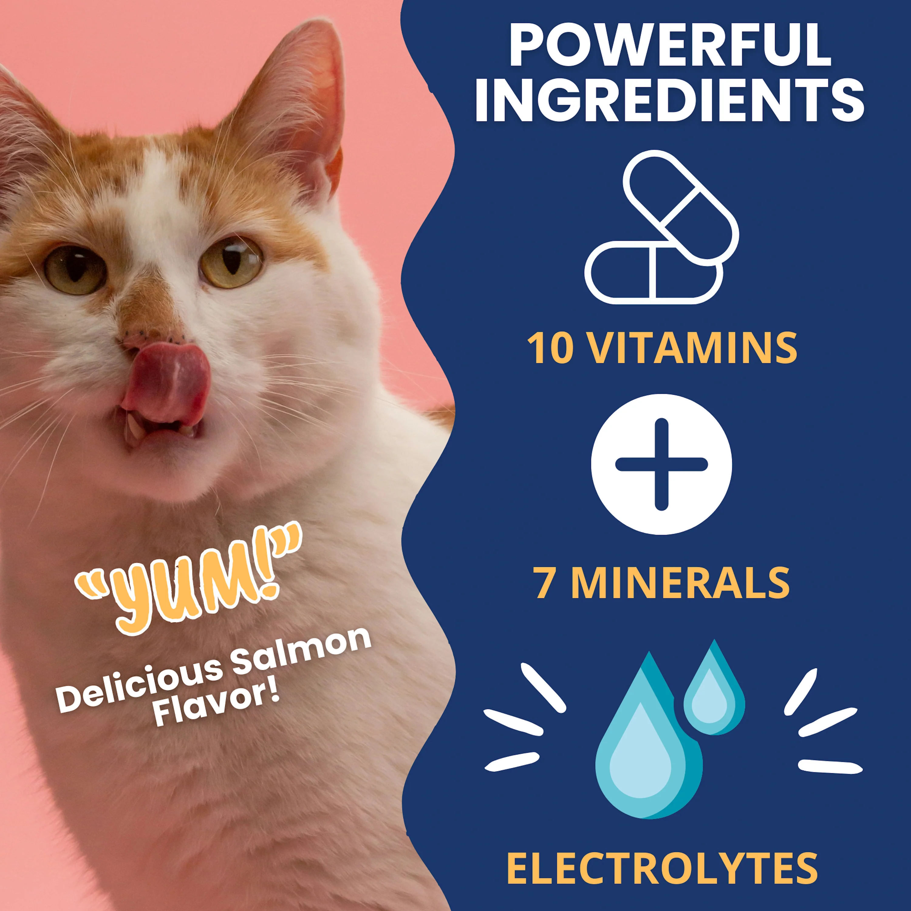 Ready Cal® PLUS Electrolytes for Cats - Image 4