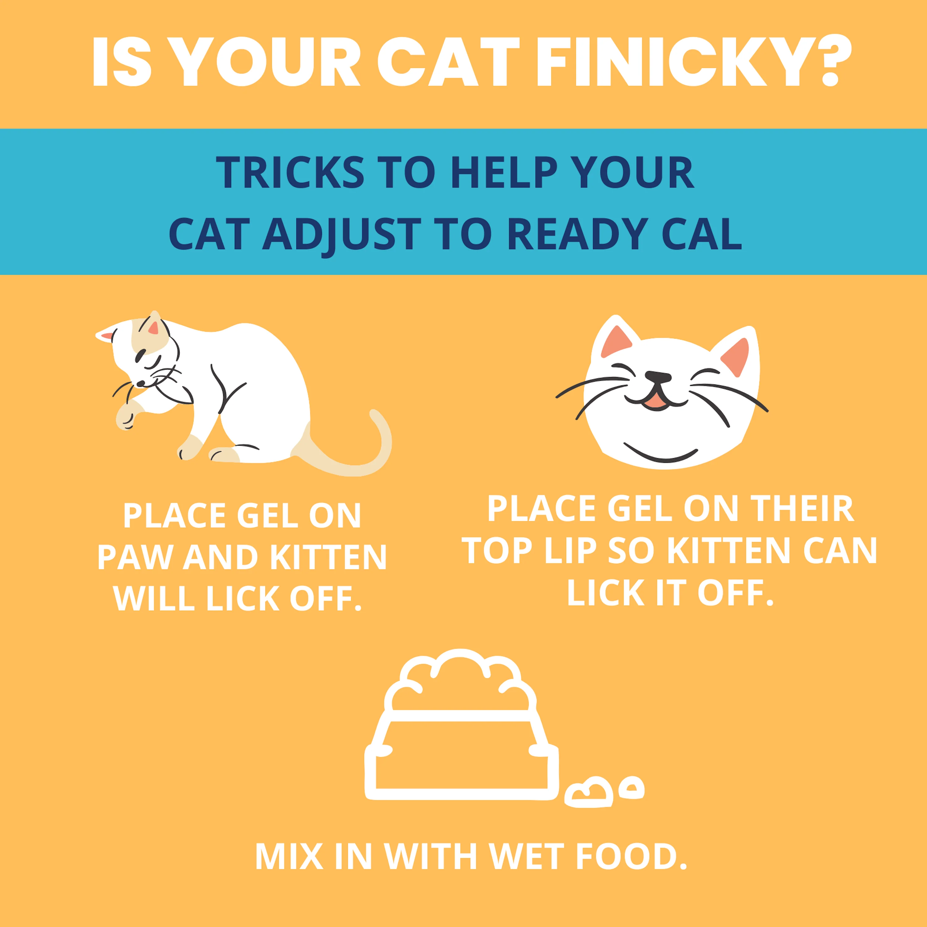 Ready Cal® PLUS Electrolytes for Cats - Image 6