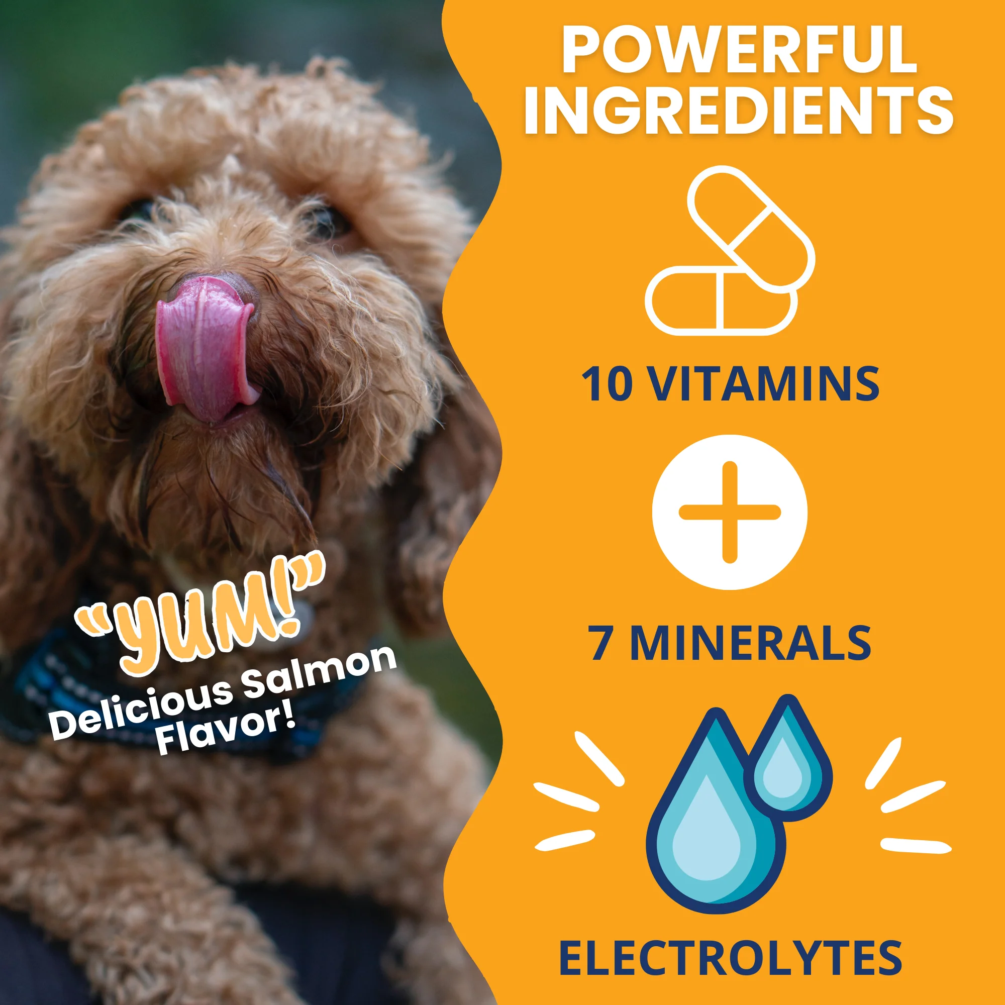 Ready Cal® PLUS Electrolytes for Dogs - Image 3