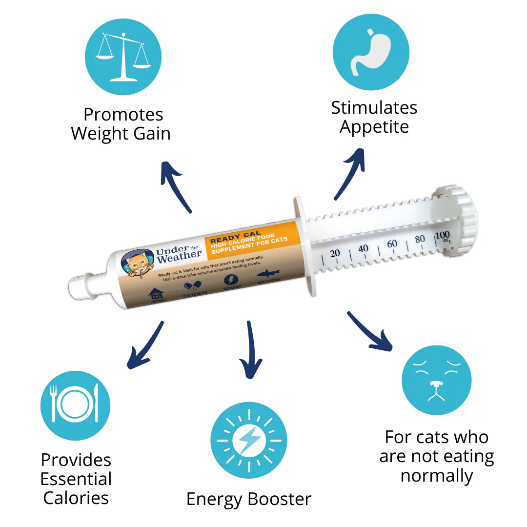 Ready Cal® High-Calorie Supplement For Cats - 100cc - Image 3
