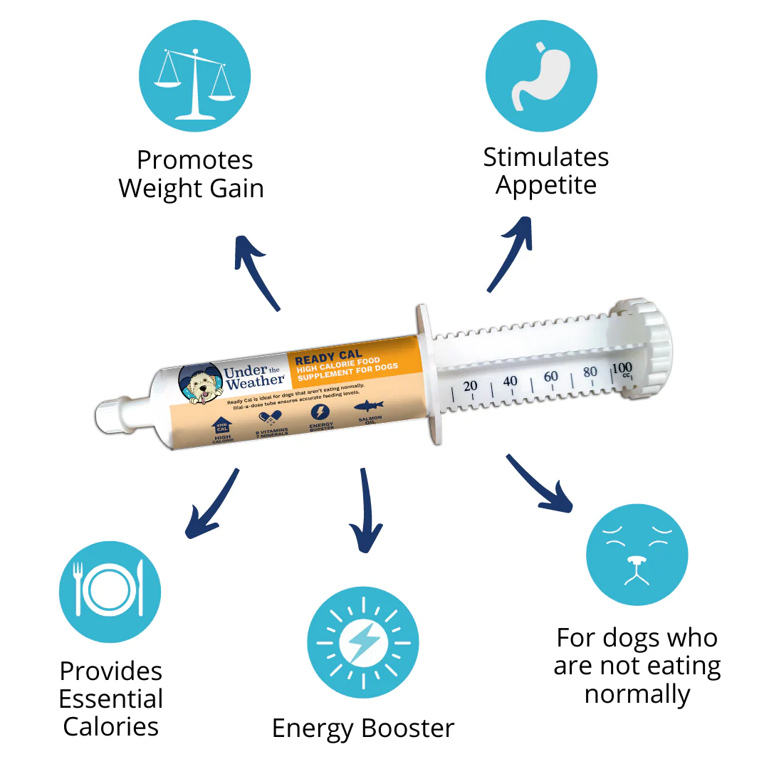 Ready Cal® High-Calorie Supplement For Dogs - Image 3