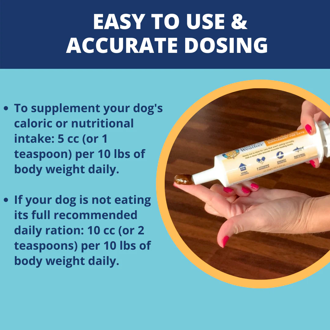 Ready Cal® High-Calorie Supplement For Dogs - Image 4
