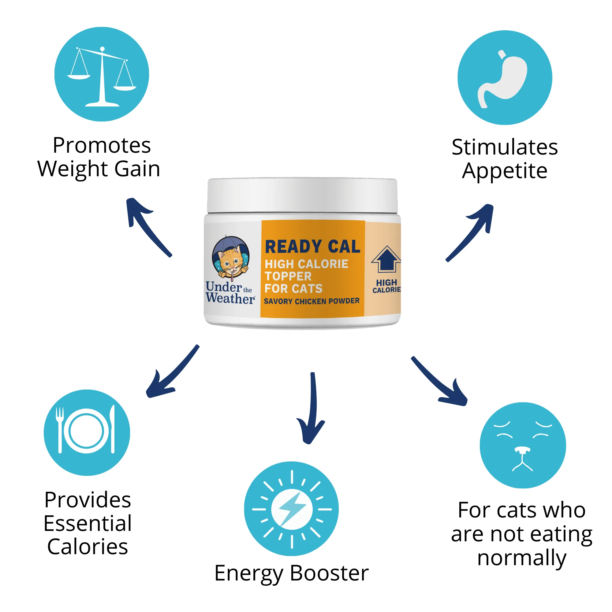 Ready Cal® High Calorie Bundle for Cats - Image 3