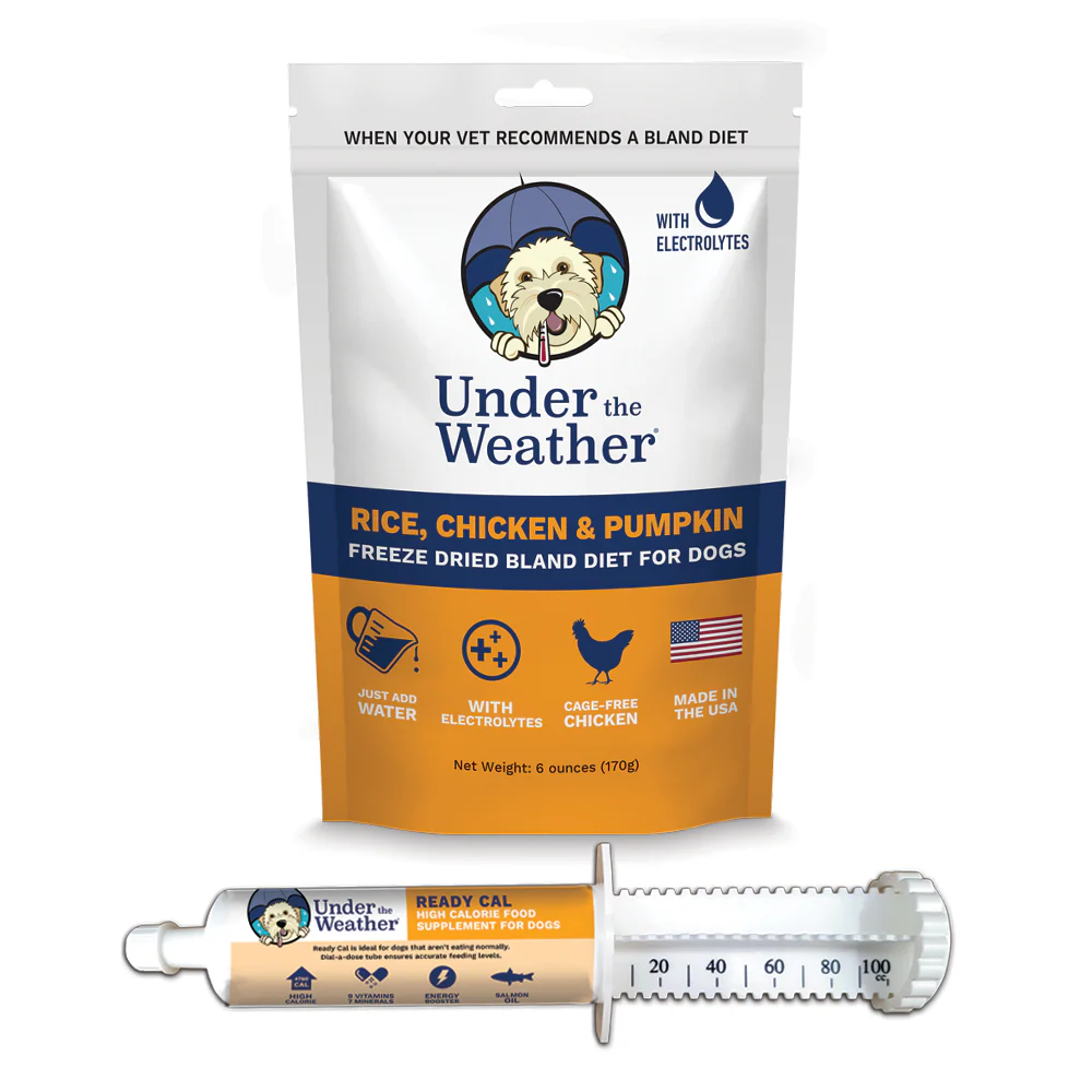 Ready Cal High Calorie Supplement + Chicken, Rice and Pumpkin Bland Diet Bundle