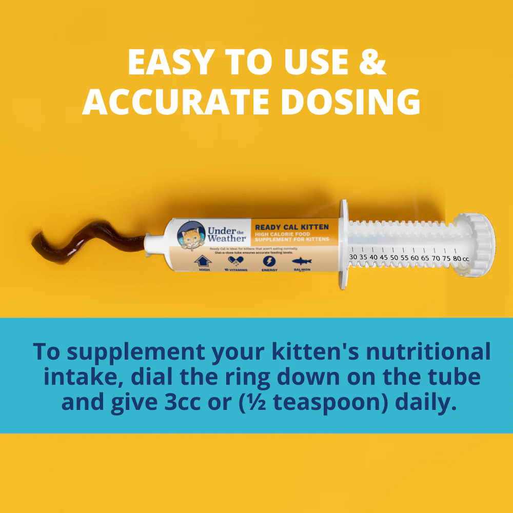 Ready Cal® High-Calorie Supplement For Kittens - 80cc - Image 5