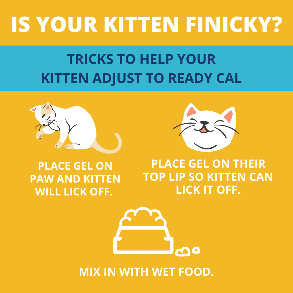 Ready Cal® High-Calorie Supplement For Kittens - 80cc - Image 6