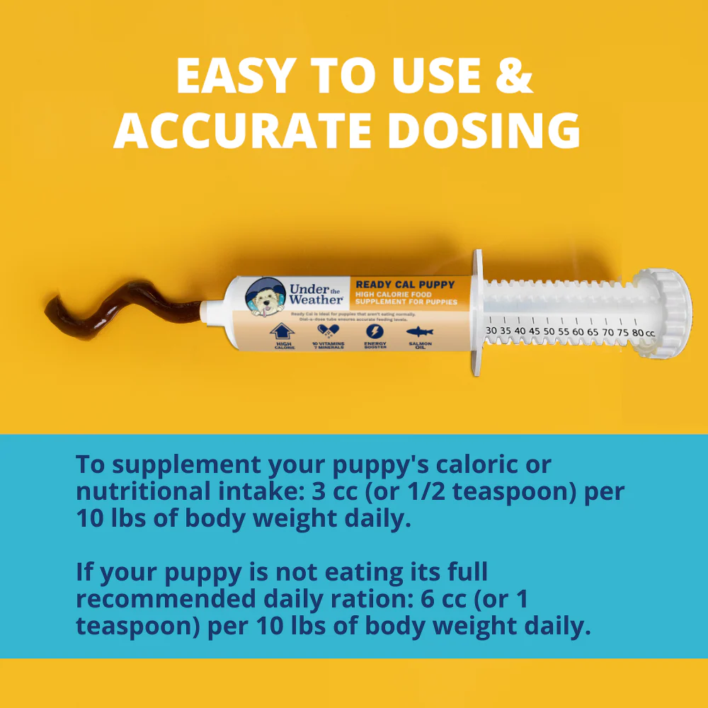 Ready Cal® High-Calorie Supplement For Puppies - 80cc - Image 4