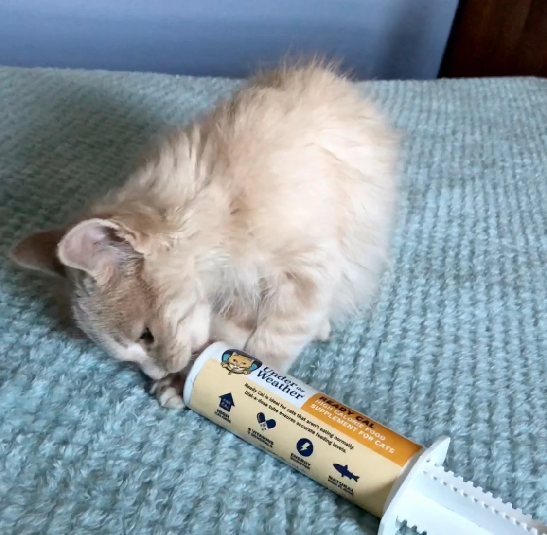 Ready Cal + Ready Balance Gel Supplement Bundle For Cats - Image 6