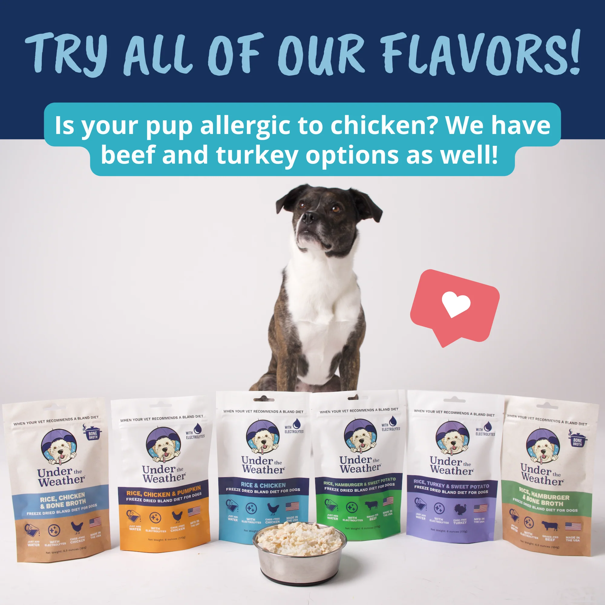 Chicken, Rice, & Bone Broth Bland Diet For Dogs - Image 8