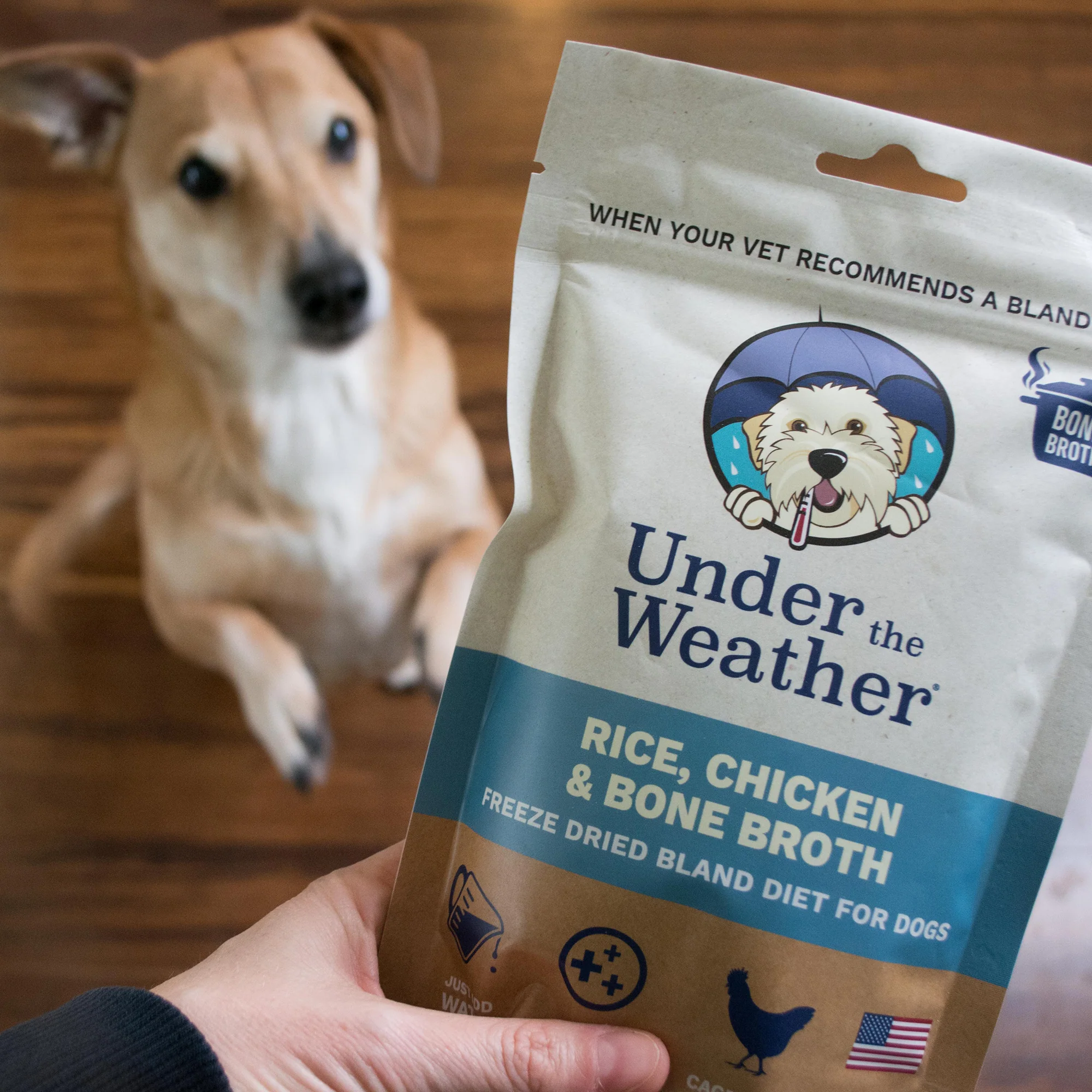 Chicken, Rice, & Bone Broth Bland Diet For Dogs - Image 9