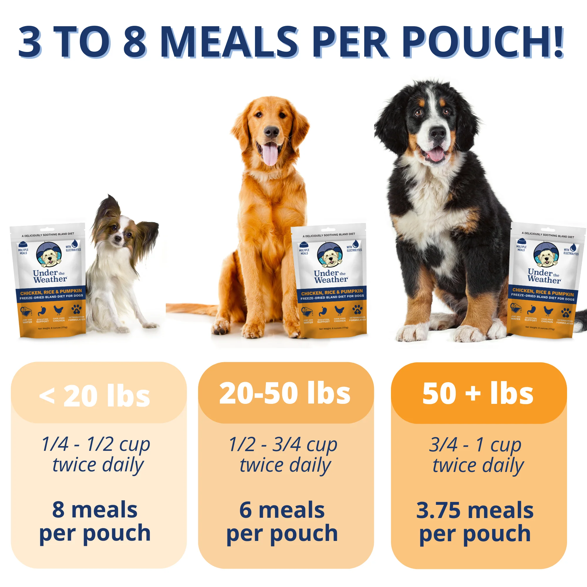 Chicken, Rice, & Pumpkin Bland Diet For Dogs - 6 Pack - Image 3