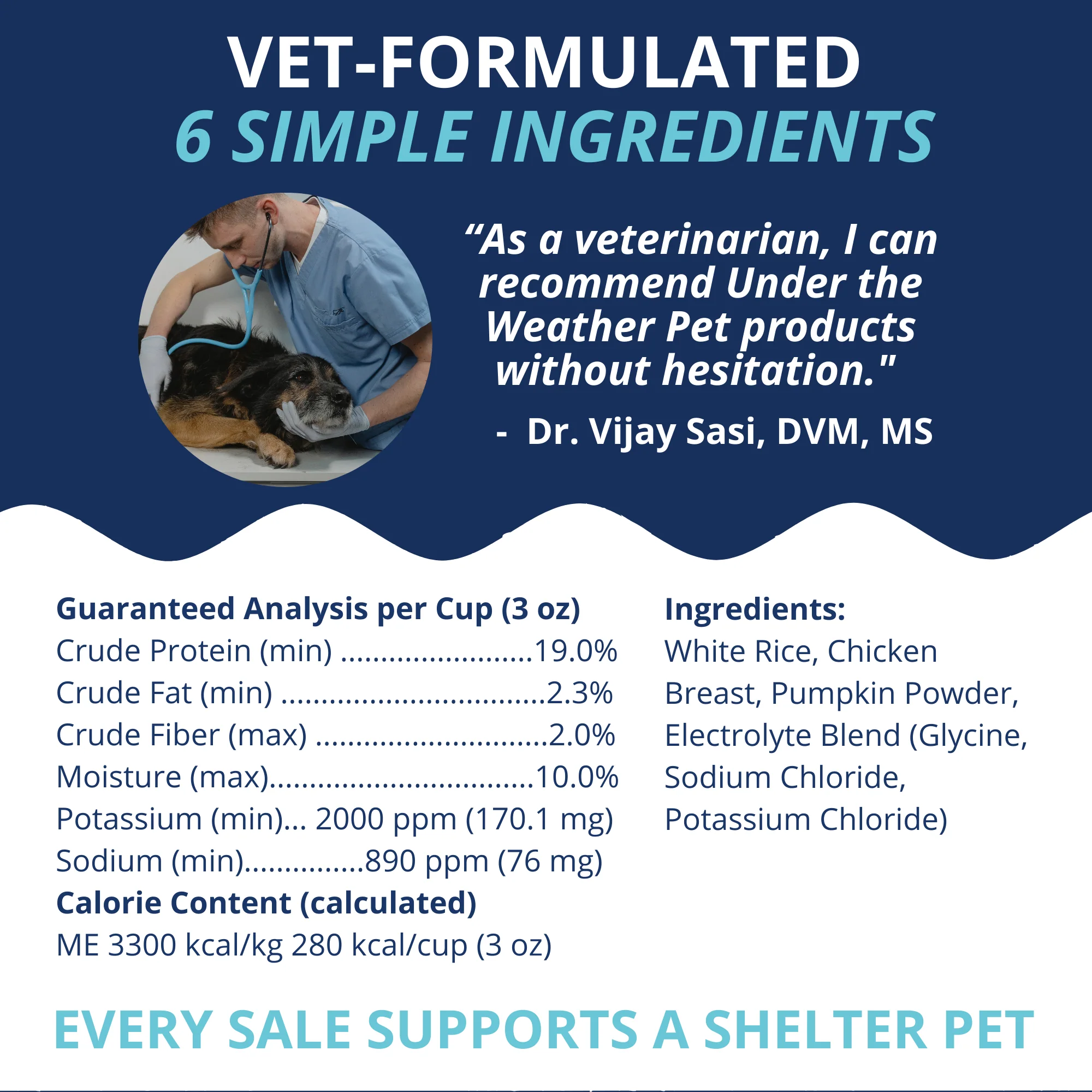 Chicken, Rice, & Pumpkin Bland Diet For Dogs - 6 Pack - Image 8