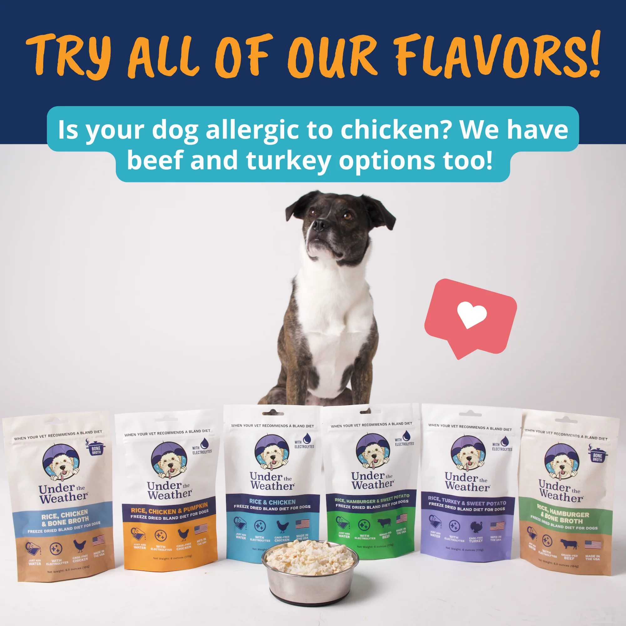 Chicken, Rice, & Pumpkin Bland Diet For Dogs - Image 8
