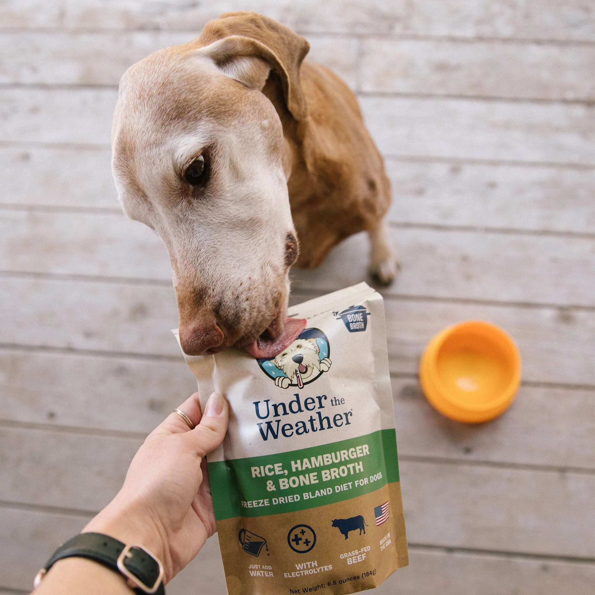 Hamburger, Rice, & Bone Broth Bland Diet For Dogs - Image 8
