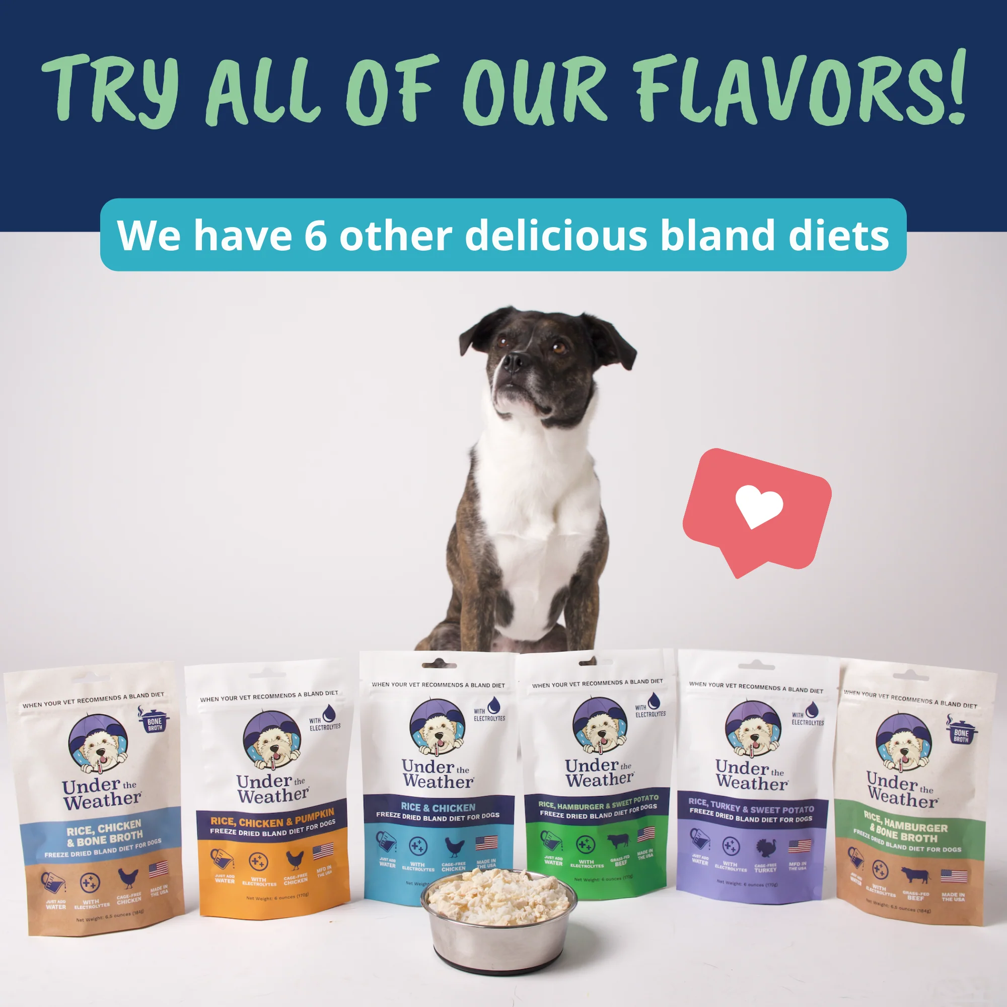 Hamburger, Rice, & Sweet Potato Bland Diet For Dogs - 6 pack - Image 8
