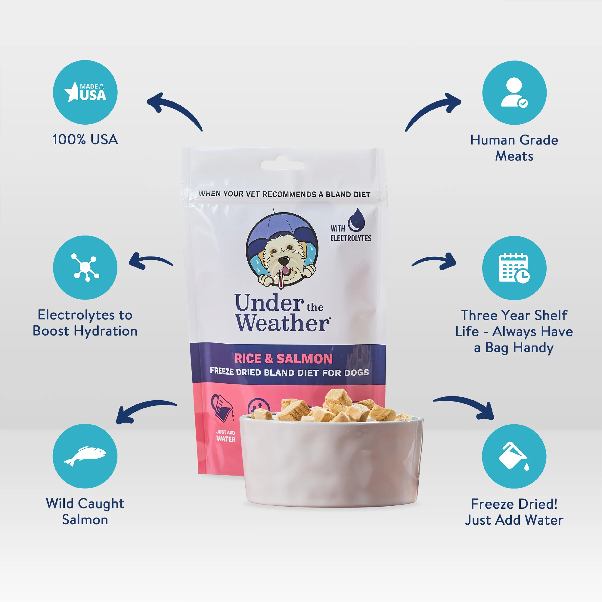 Salmon & Rice Bland Diet For Dogs - Image 3