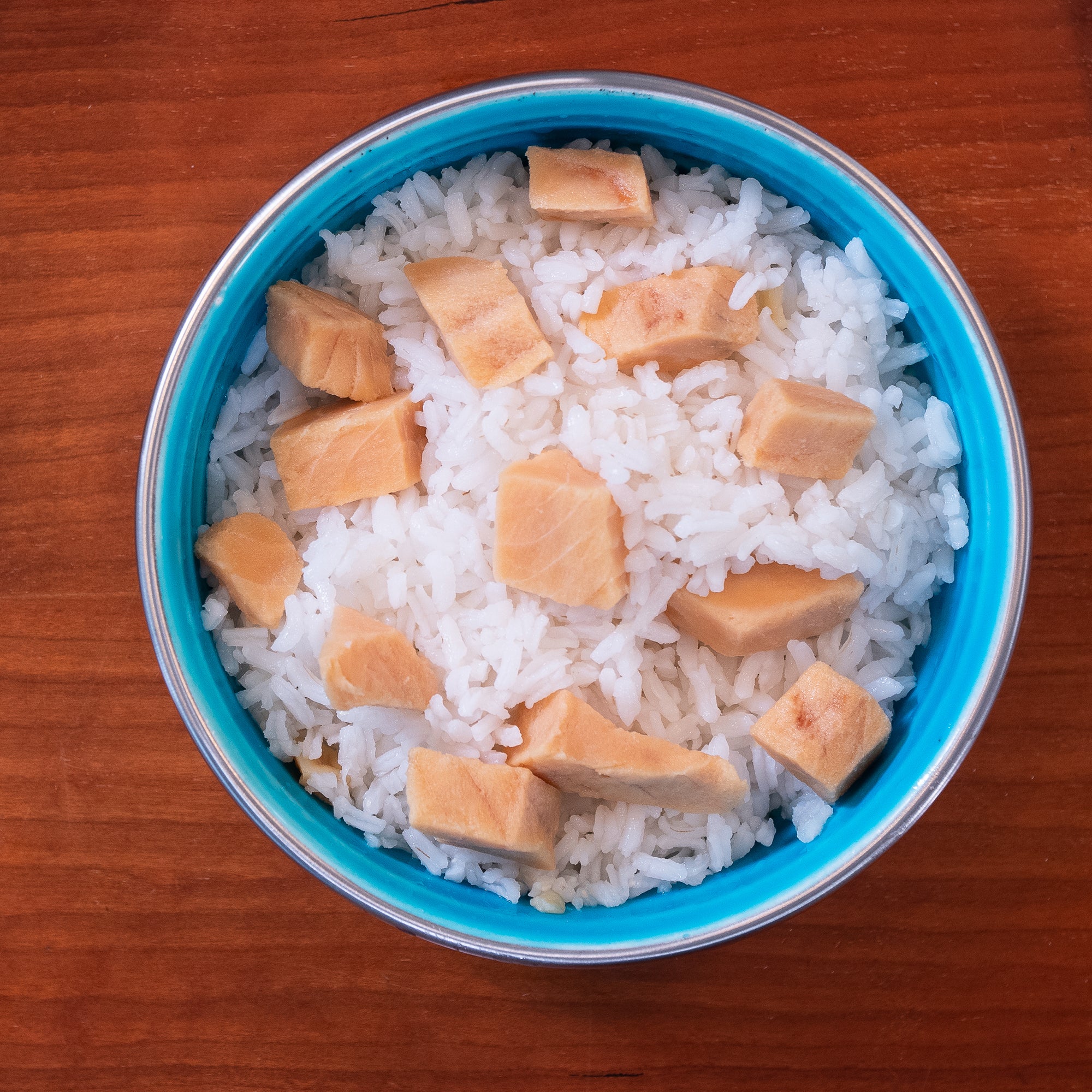 Salmon & Rice Bland Diet For Dogs - Image 4