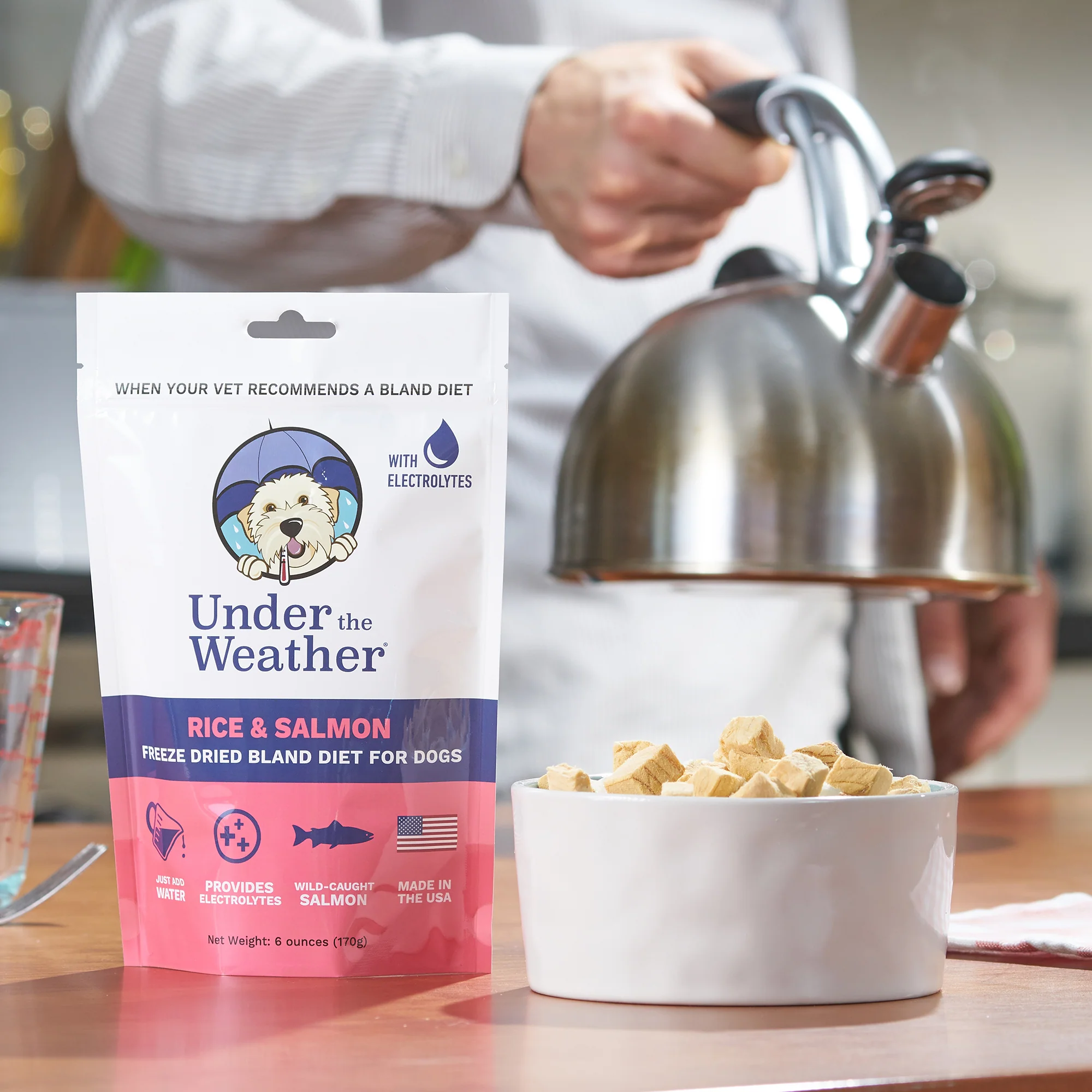 Salmon & Rice Bland Diet For Dogs - Image 5