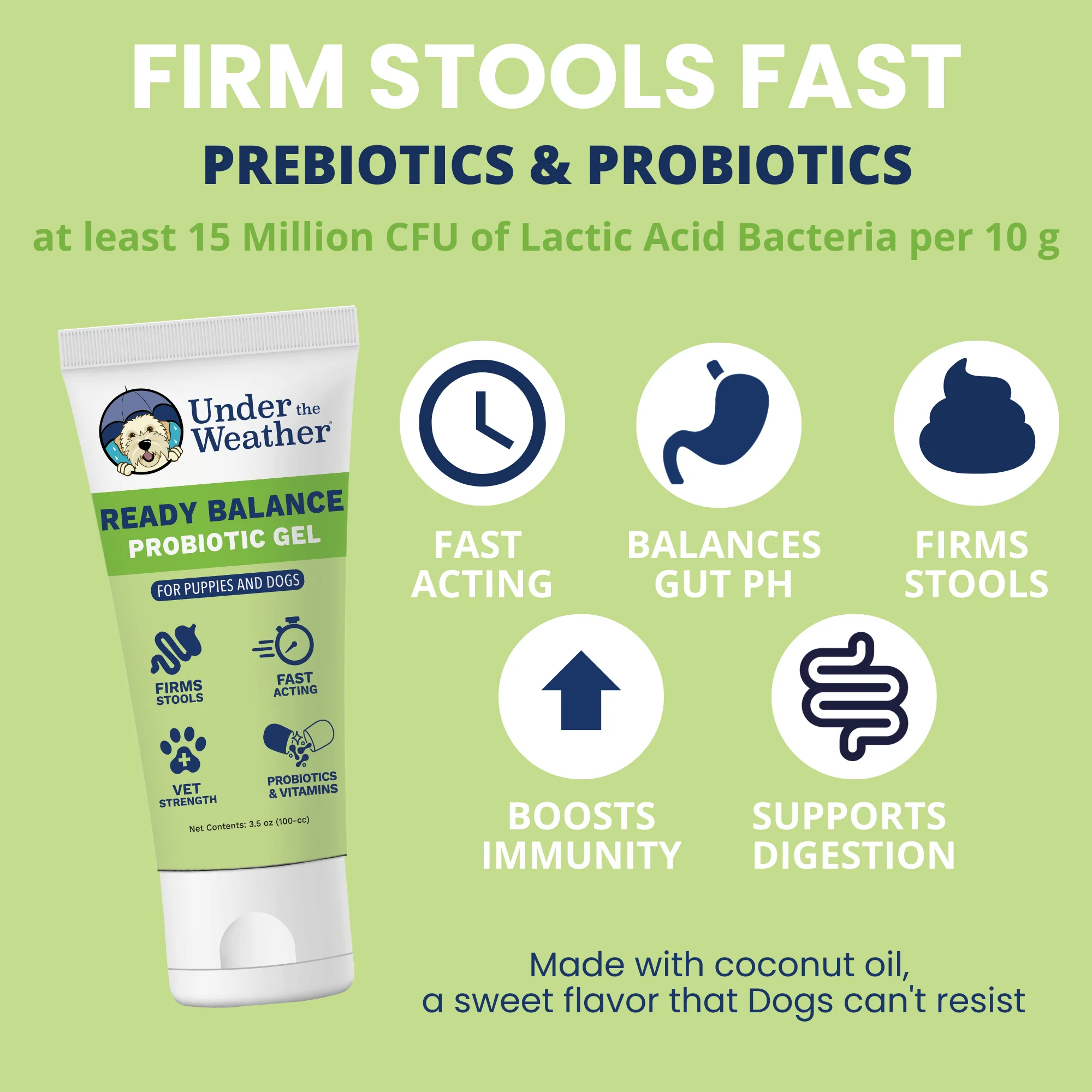 Travel Bundle For Dogs - Image 3