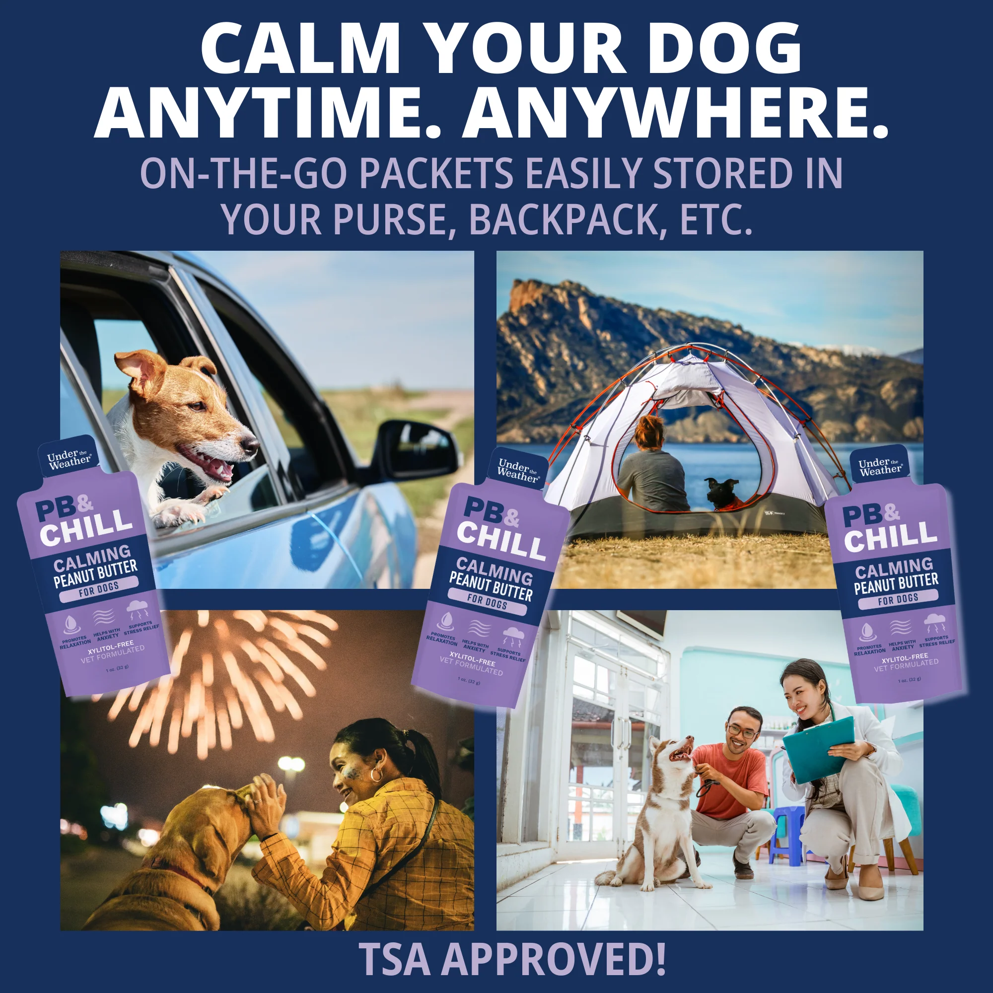 Travel Bundle For Dogs - Image 4