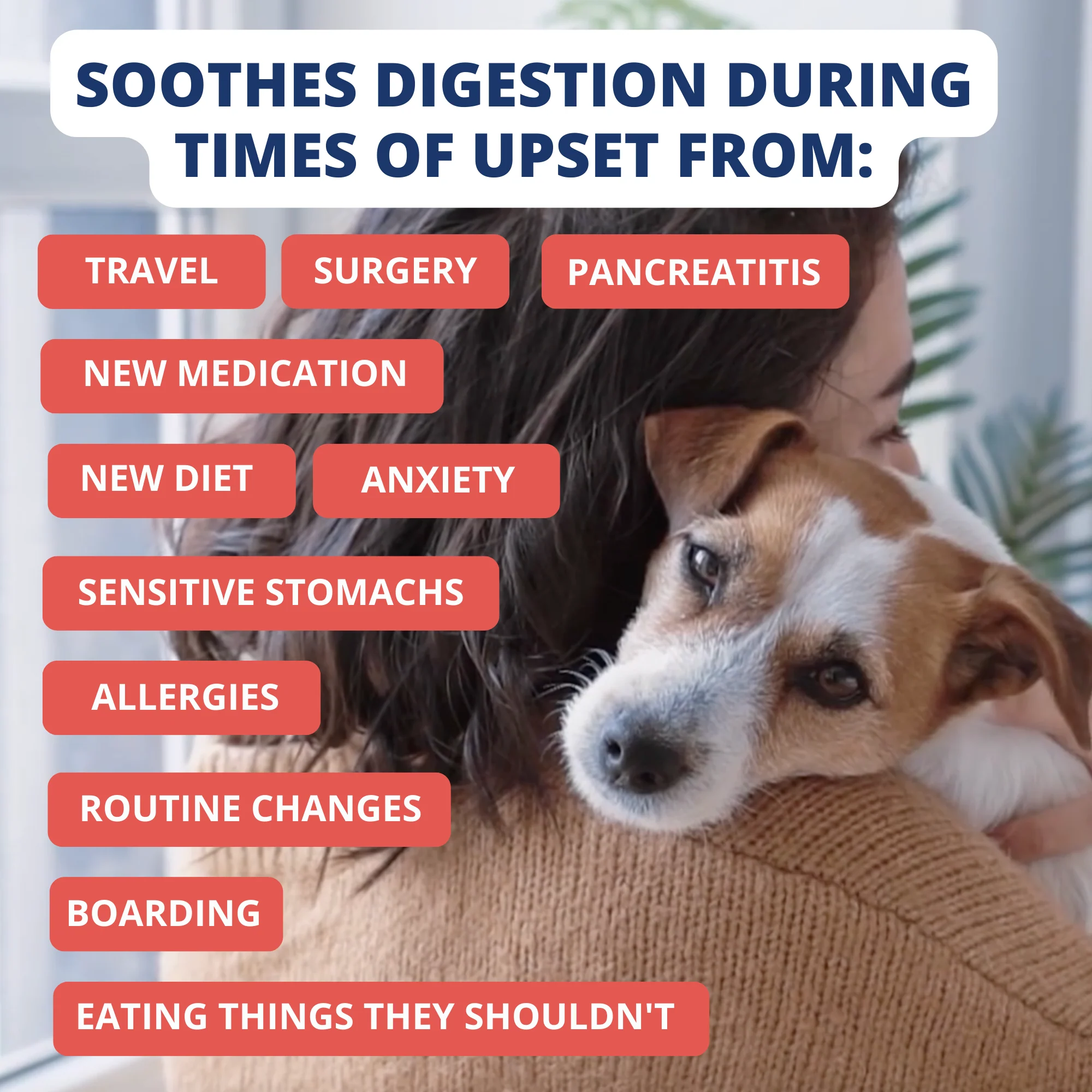 Turkey, Oatmeal, Sweet Potato and Slippery Elm Bland Diet For Dogs - Image 5