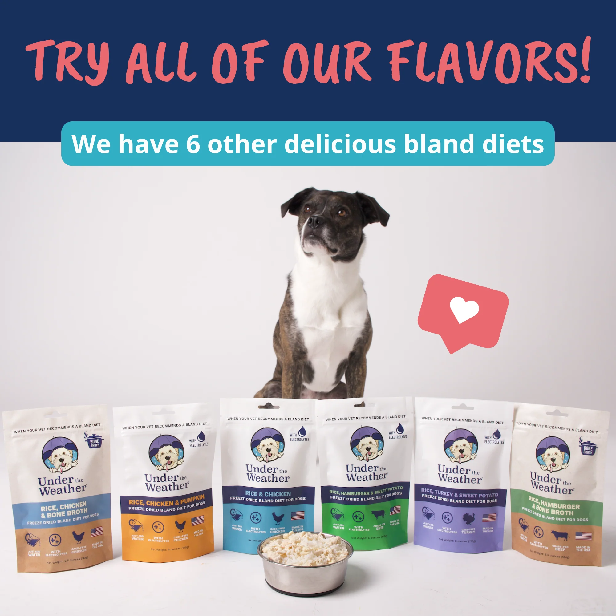 Turkey, Oatmeal, Sweet Potato and Slippery Elm Bland Diet For Dogs - Image 9