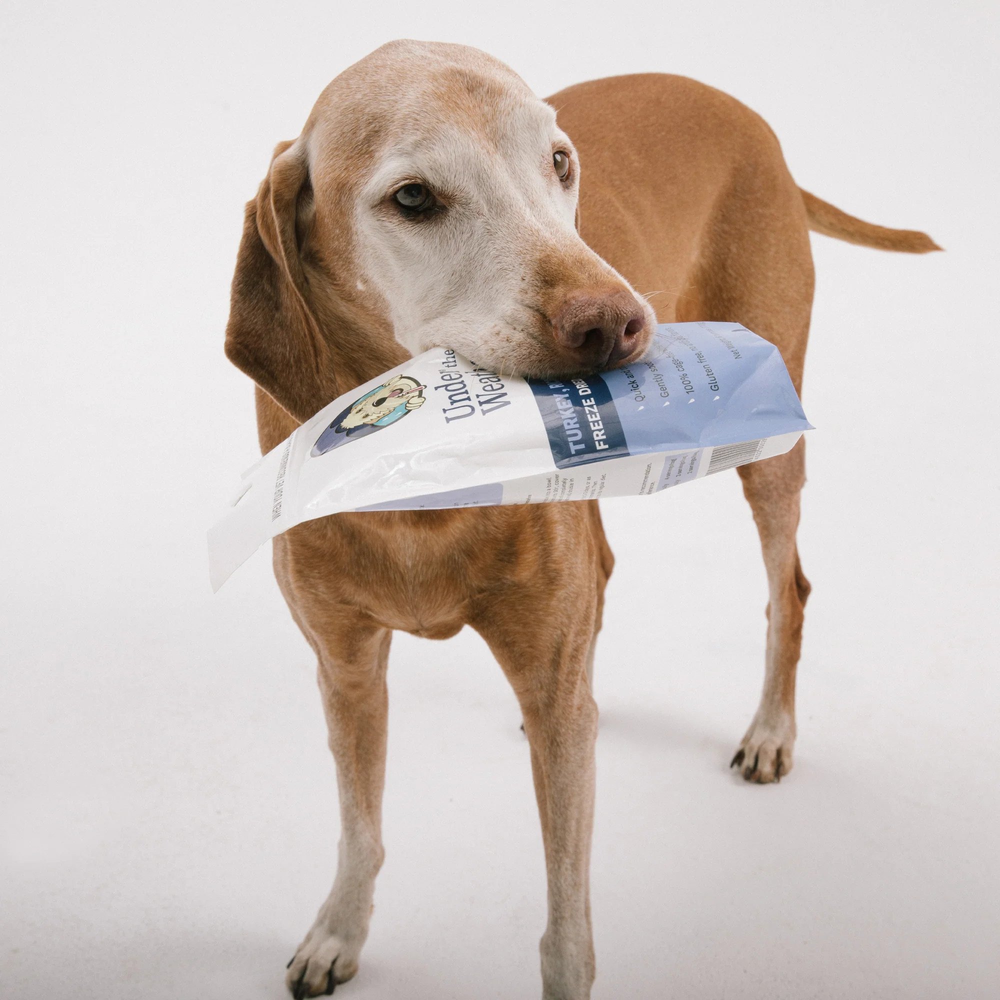 Turkey, Rice, & Sweet Potato Bland Diet For Dogs - 2 Pack - Image 9