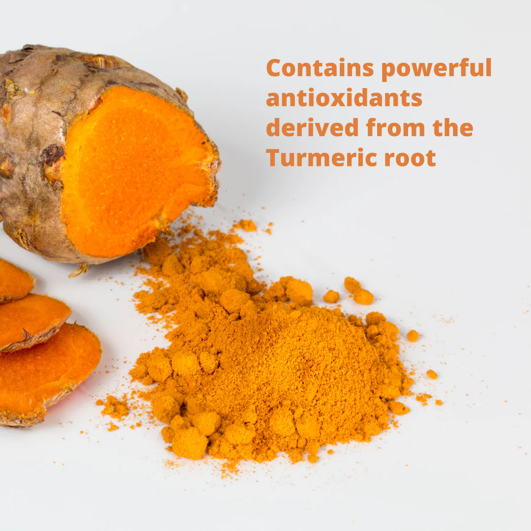 Turmeric & Curcumin Soft Chews for Dogs - Image 4