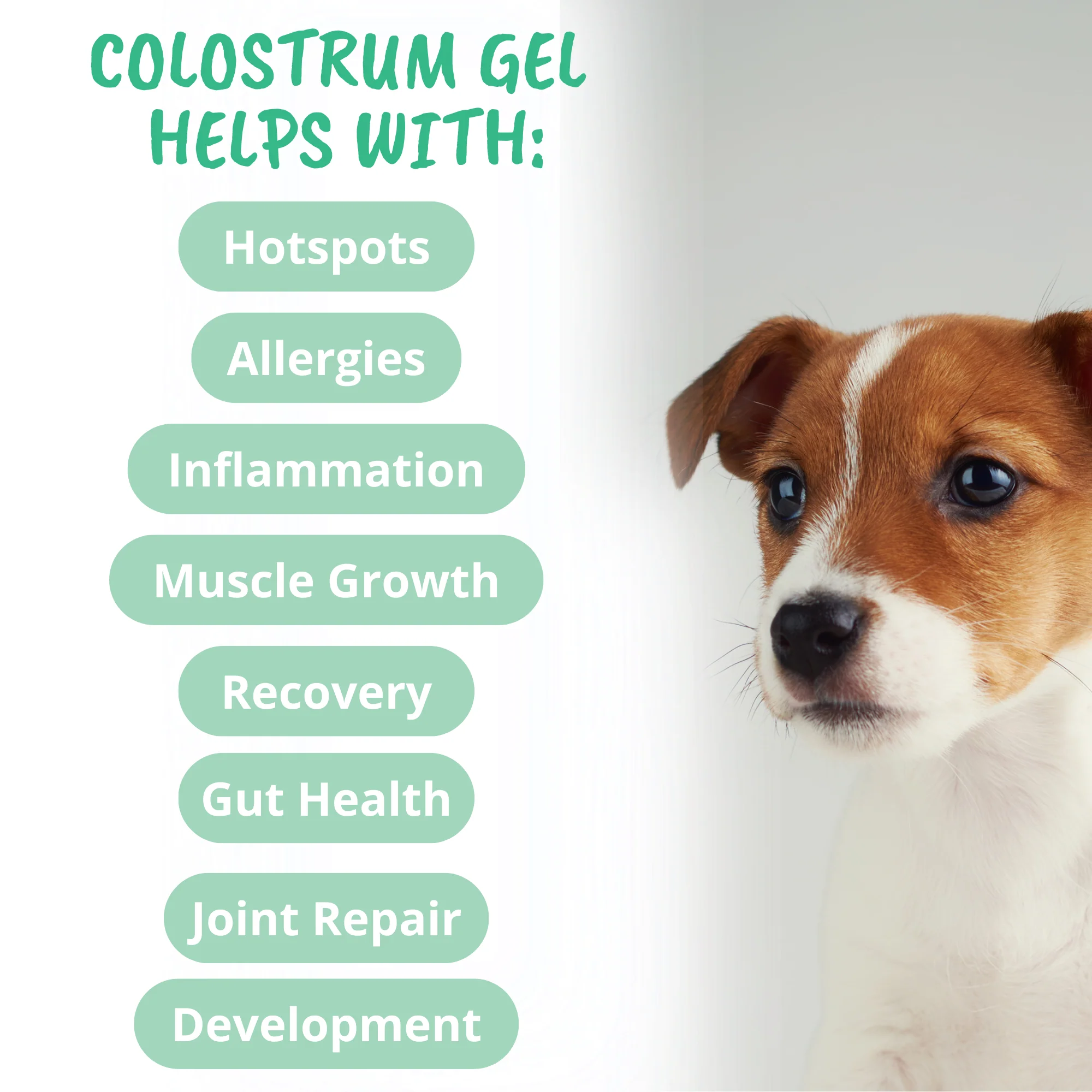 Vital Colostrum Squeezable Gel for Dogs - Image 3