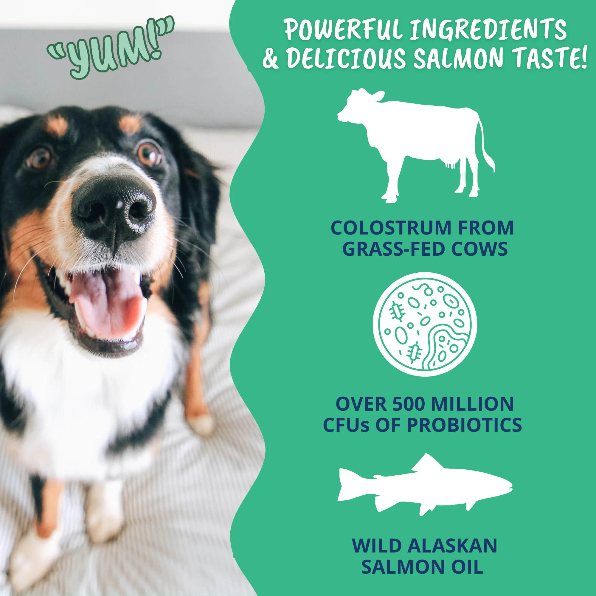 Vital Colostrum Squeezable Gel for Dogs - Image 4
